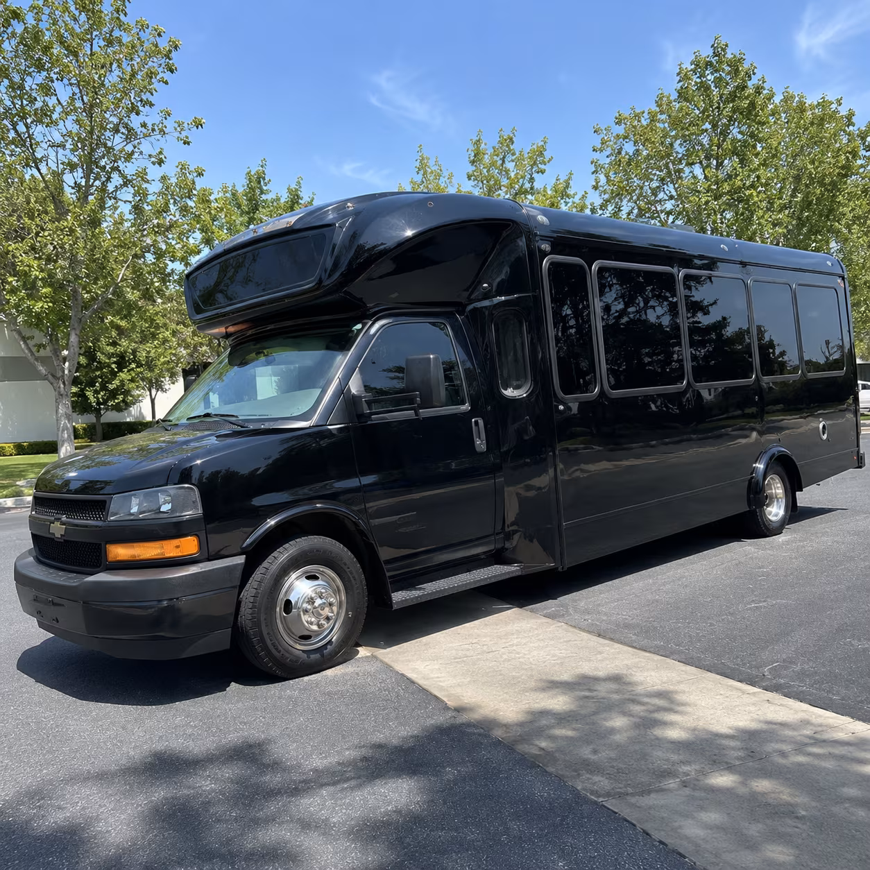 dothan 15 passenger party bus
