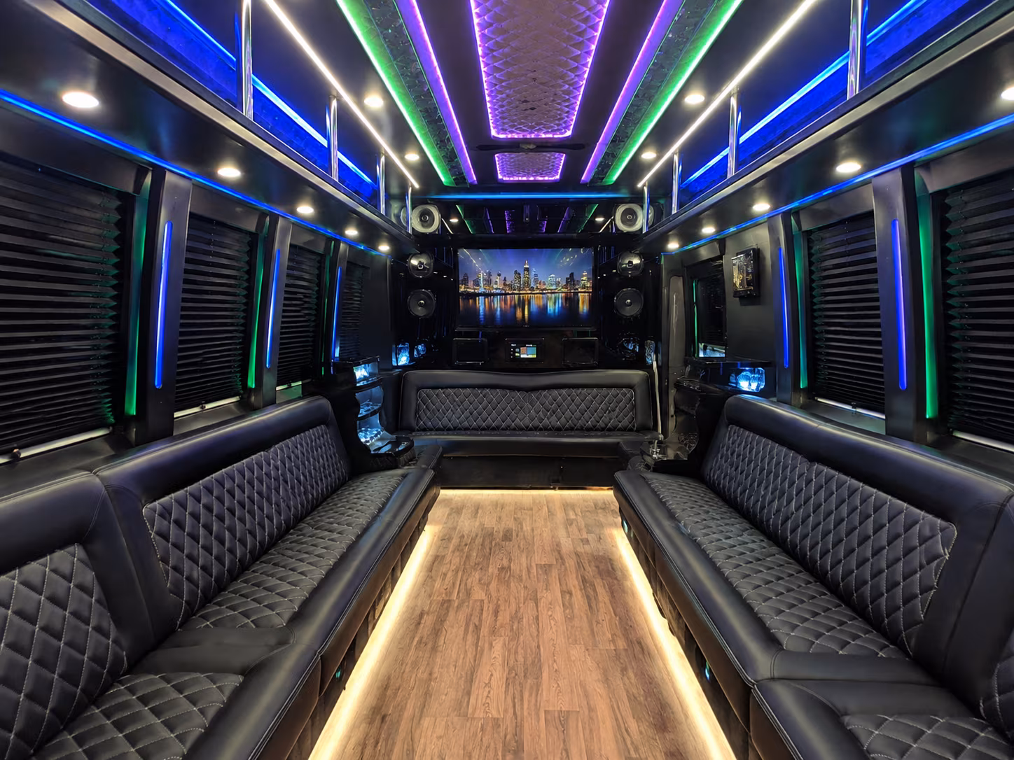 dothan 25 passenger party bus interior
