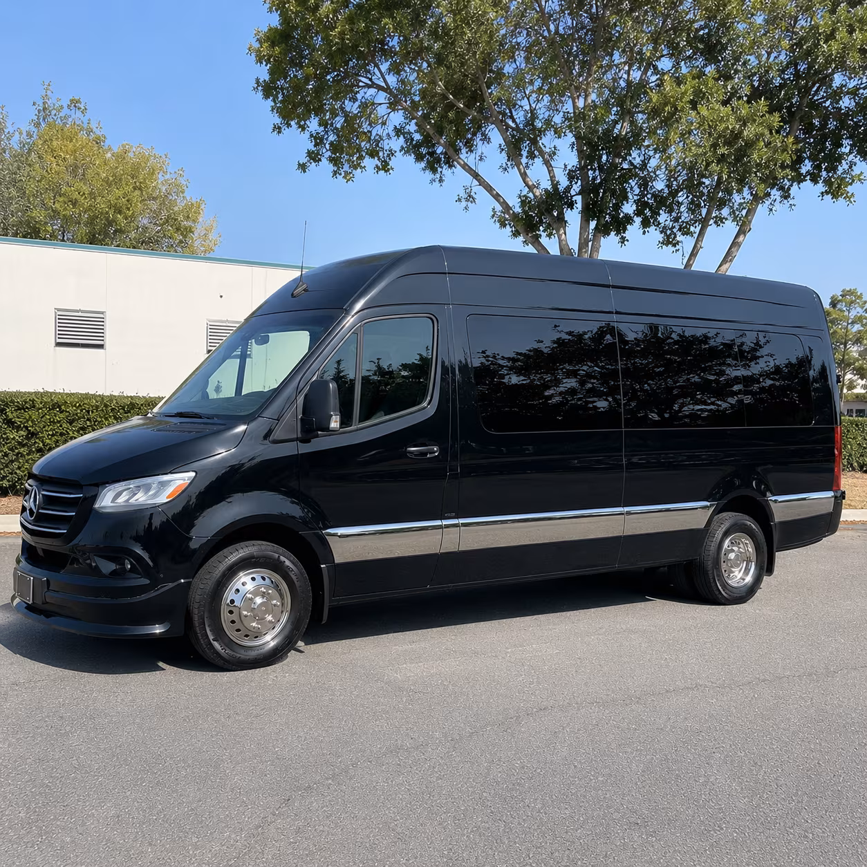 dothan sprinter van with driver